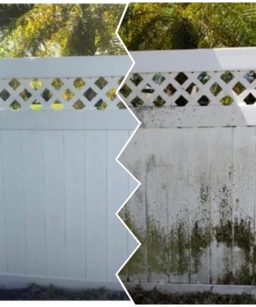 pressure washing summerville